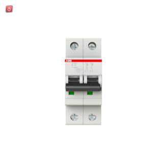 ABB2CDS252001R0044 / Sicherungsautomat C-Char.,6kA,4A, 2-polig / EAN 4016779523400
