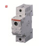 ABB2CDE101001R1901 / ILTS-E1 Sich.-Lasttrennschalter D0,1P.,63A / EAN 4016779653473
