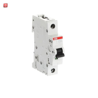 ABB2CDS271001R0557 / S201M-K40 Sicherungsautomat K-Char., 10 kA, 40 A, 1P / EAN 4016779599757
