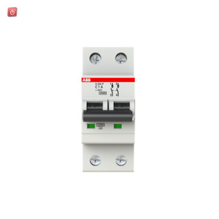 ABB2CDS282001R0014 / S202P-C1 Sicherungsautomat C-Char., 25 kA, 1 A, 2P / EAN 4016779590358