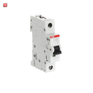 ABB2CDS271001R0101 / S201M-D10 Sicherungsautomat D-Char., 10 kA, 10 A, 1P / EAN 4016779599429