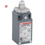 ABB1SBV011912R1211 / LS32M12B11 Standard-Positionsschalter Metall-Gehäuse IP66 / EAN 3471522621061