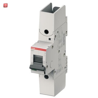 ABB2CCF020050R0001 / S801HV-K1 Hochleist.Sicherungsautomat 1A,K,1000VAC=Icu 1.5kA, 1P / EAN 7612271501167