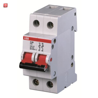 ABB2CDE282001R1025 / E202/25G Trennschalter 2P,25A,Schaltgriff grau / EAN 4016779645812