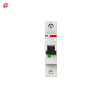 ABB2CDS251001R0321 / S201-D32 Sicherungsautomat D-Char., 6 kA, 32 A, 1P / EAN 4016779530064