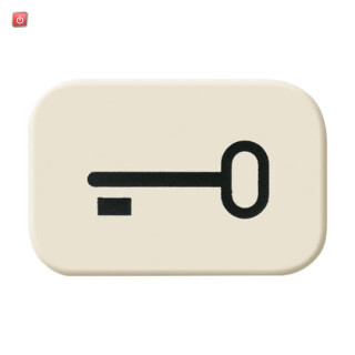 B&J2CKA001433A0440 / Tastersymbol Schlüssel / EAN 4011395048900