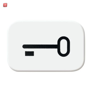 B&J2CKA001433A0044 / Tastersymbol Schlüssel / EAN 4011395048009