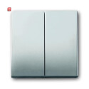B&J2CKA001751A2962 / Wippe Serienschalter / EAN...