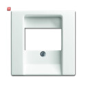 B&J2CKA001724A4336 / Zentralscheibe Steckdose / EAN...