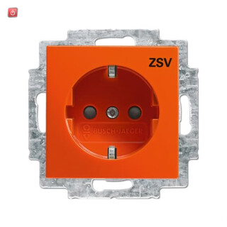 B&J2CKA002013A5389 / SCHUKO® Steckdosen-Einsatz mit Aufdruck / EAN 4011395191712