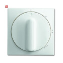 B&J2CKA001710A4060 / Zentralscheibe mit Drehgriff,...