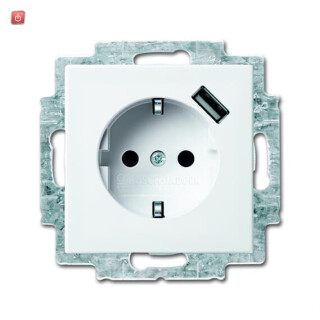 B&J2CKA002011A6237 / SCHUKO® USB-Steckdose mit erh. Berührungsschutz / EAN 4011395191262