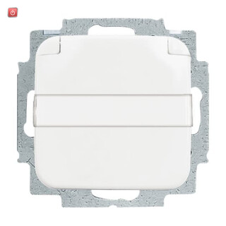B&J2CKA002018A0885 / SCHUKO® Steckdosen-Einsatz mit Klappdeckel und Beschriftungsfeld / EAN 4011395469101