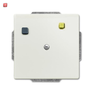 B&J2CKA003117A0005 / Buschmat® FI UP-Einsatz mit Fehlerstrom-Schutzschalter mit Verbindungs / EAN 4011395189665