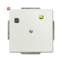B&J2CKA003117A0005 / Buschmat® FI UP-Einsatz mit Fehlerstrom-Schutzschalter mit Verbindungs / EAN 4011395189665