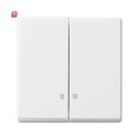 B&J2CKA001731A3996 / Wippe Serien-Kontrollschalter /...
