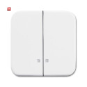 B&J2CKA001731A3994 / Wippe-Serien-Kontrollschalter /...
