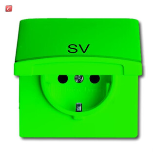 B&J2CKA002064A0311 / SCHUKO® Steckdosen-Einsatz mit Klappdeckel und Aufdruck / EAN 4011395260340