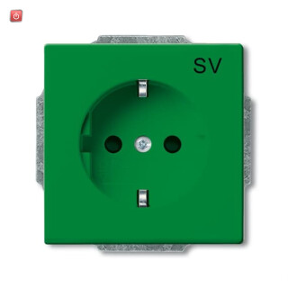 B&J2CKA002013A5472 / SCHUKO® Steckdosen-Einsatz mit Aufdruck / EAN 4011395260470