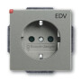 B&J2CKA002013A5462 / SCHUKO® Steckdosen-Einsatz mit Aufdruck "EDV" / EAN 4011395228555