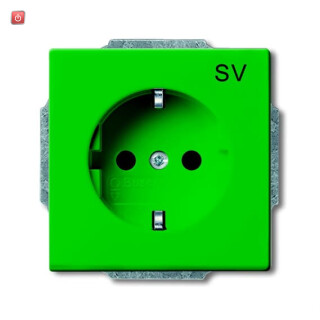 B&J2CKA002011A6260 / SCHUKO® Steckdosen-Einsatz mit Aufdruck / EAN 4011395260265