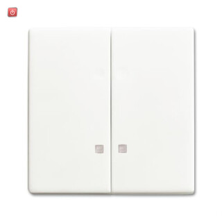 B&J2CKA001751A3134 / Wippe Wippe-Serien-Kontrollschalter / EAN 4011395223963