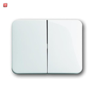 B&J2CKA001751A2110 / Wippe Serienschalter / EAN 4011395691908