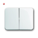 B&J2CKA001751A2110 / Wippe Serienschalter / EAN...