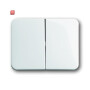 B&J2CKA001751A2110 / Wippe Serienschalter / EAN 4011395691908