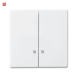 B&J2CKA001751A3127 / Wippe Wippe-Serien-Kontrollschalter / EAN 4011395223895