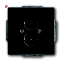 B&J2CKA001723A0253 / Zentralscheibe mit Tragring /...