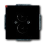 B&J2CKA001723A0253 / Zentralscheibe mit Tragring / EAN 4011395056288