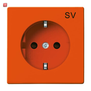 B&J2CKA002011A3723 / SCHUKO® Steckdosen-Einsatz mit Aufdruck / EAN 4011395995280
