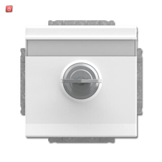 B&J2CKA002018A1563 / SCHUKO® Steckdosen-Einsatz mit Klappdeckel und Schloss / EAN 4011395226117