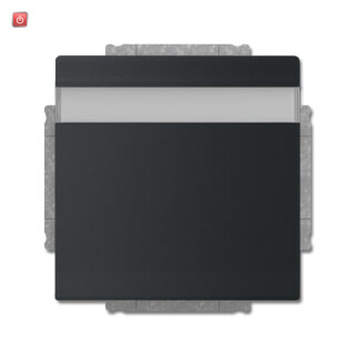 B&J2CKA002018A1542 / SCHUKO® Steckdosen-Einsatz mit Klappdeckel und Beschriftungsfeld / EAN 4011395229446