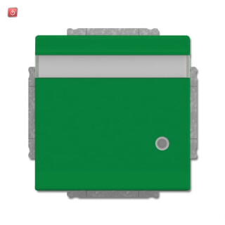 B&J2CKA002018A1545 / SCHUKO® Steckdosen-Einsatz mit Klappdeckel, Beschriftungsfeld und LED / EAN 4011395229477