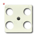 B&J2CKA001753A8626 / Zentralscheibe 50 x 50 mm / EAN...