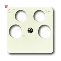 B&J2CKA001753A8634 / Zentralscheibe 50 x 50 mm / EAN...