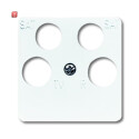 B&J2CKA001753A8659 / Zentralscheibe 50 x 50 mm / EAN...
