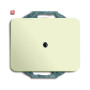 B&J2CKA001710A2389 / Blindzentralscheibe mit Tragring / EAN 4011395918609