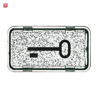 B&J2CKA001714A0286 / Tastersymbol Schlüssel / EAN 4011395871805