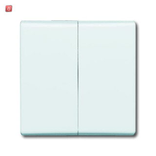 B&J2CKA001731A1783 / Wippe Serienschalter / EAN 4011395910504