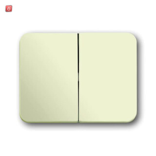 B&J2CKA001751A2565 / Wippe Serienschalter / EAN 4011395917107