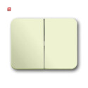 B&J2CKA001751A2565 / Wippe Serienschalter / EAN...
