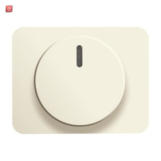 B&J2CKA006599A2803 / Zentralscheibe mit Drehknopf, Bef.-Mutter und Glimmlampe / EAN 4011395917404