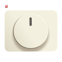 B&J2CKA006599A2803 / Zentralscheibe mit Drehknopf,...