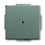 B&J2CKA001710A3843 / Blindzentralscheibe mit Tragring / EAN 4011395110362