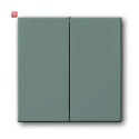 B&J2CKA001751A3018 / Wippe Serienschalter / EAN...