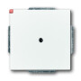 B&J2CKA001710A3161 / Blindzentralscheibe mit Tragring / EAN 4011395996379