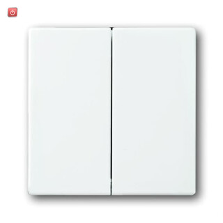 B&J2CKA001751A2752 / Wippe Serienschalter / EAN 4011395995914